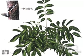 漆強(qiáng)油漆學(xué)堂講解.jpg 漆強(qiáng)油漆學(xué)堂講解.jpg